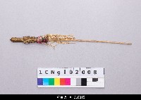 藏品(布袋戲道具-槍)的圖片